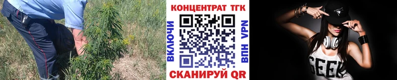 kraken как войти  цены   Талица  Дистиллят ТГК гашишное масло 