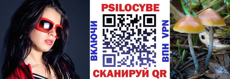 MEGA сайт Талица Псилоцибиновые грибы Psilocybine cubensis